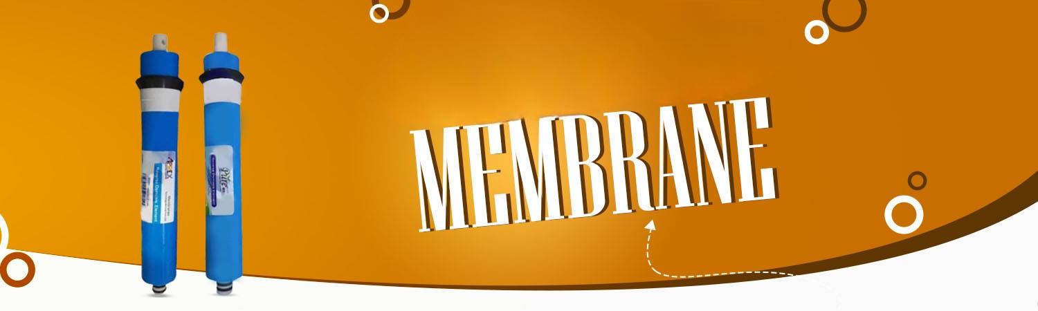 Understanding Membranes: The Backbone of Water Filtration